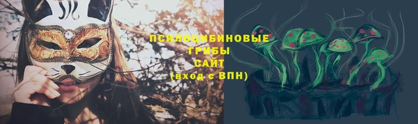 винт Ладушкин