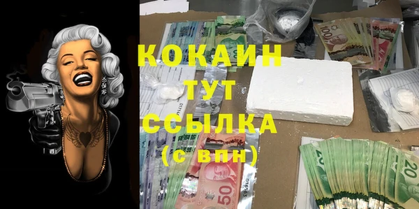 соль курить ск Лабытнанги