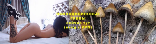прущий лед Пестово