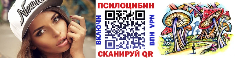 Псилоцибиновые грибы Psilocybe  хочу   Брюховецкая 